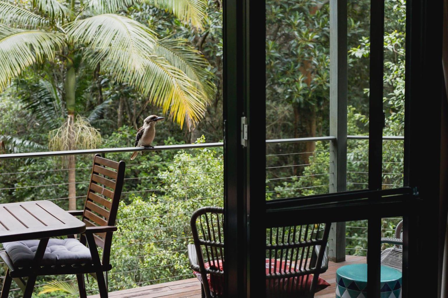 Kondalilla Eco Resort Montville Buitenkant foto