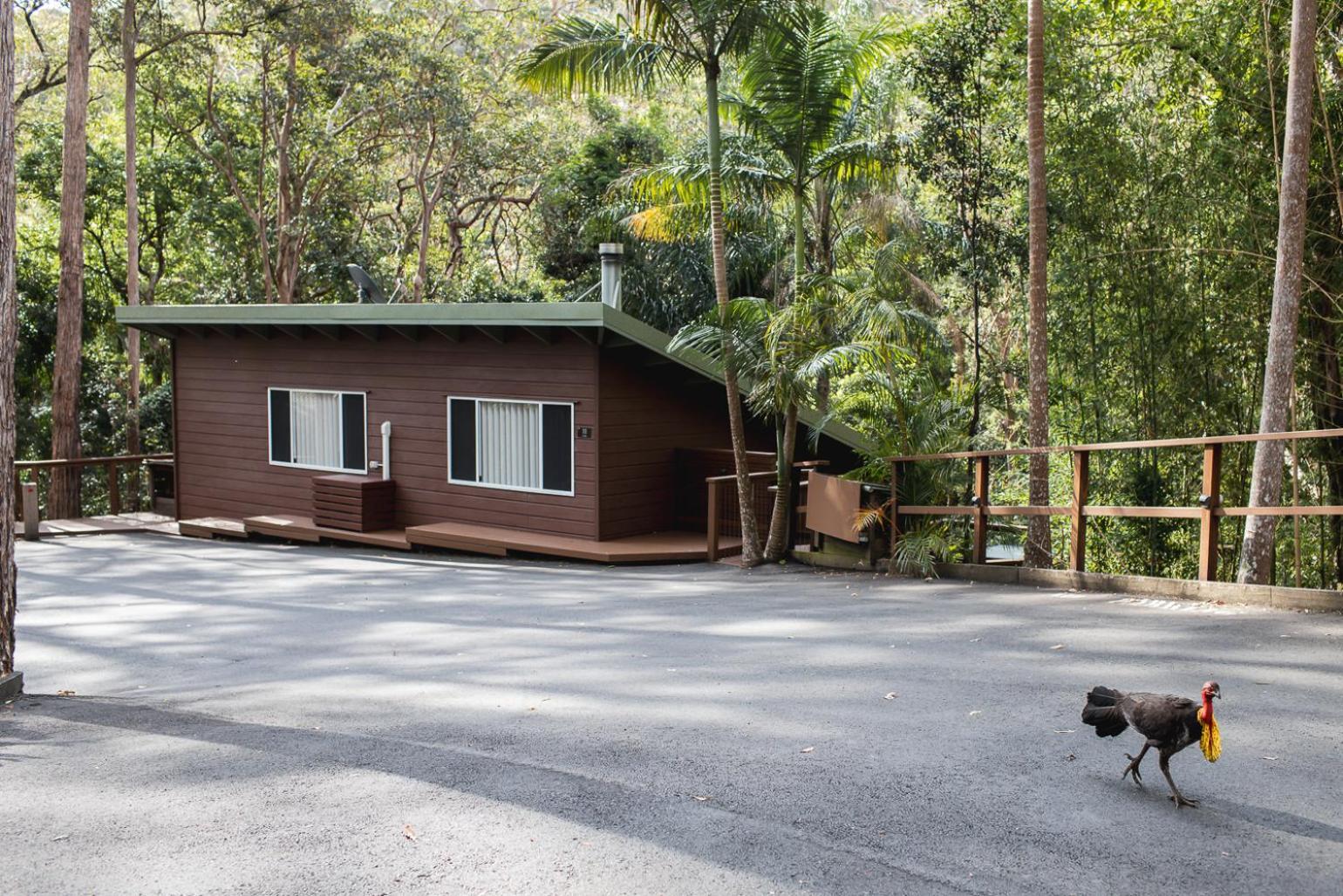 Kondalilla Eco Resort Montville Buitenkant foto