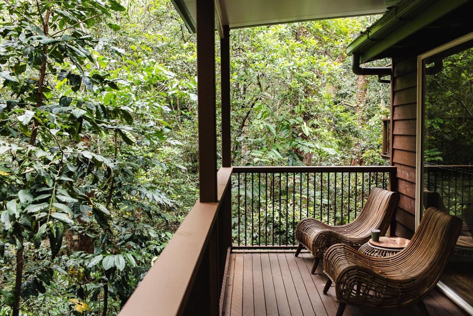 Kondalilla Eco Resort Montville Buitenkant foto