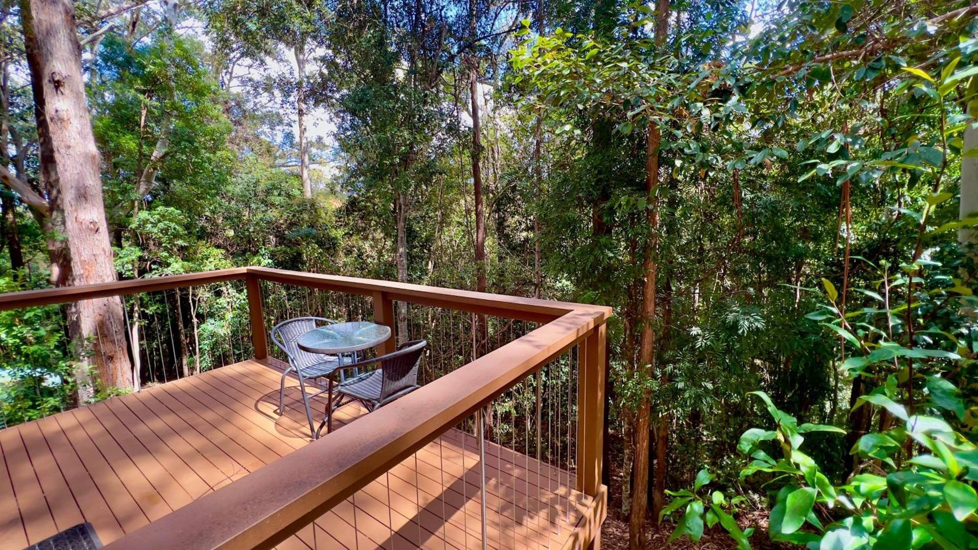 Kondalilla Eco Resort Montville Buitenkant foto