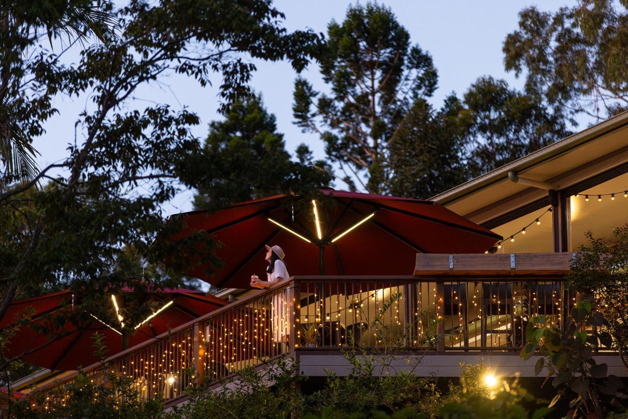 Kondalilla Eco Resort Montville Buitenkant foto